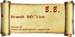 Brandt Bálint névjegykártya