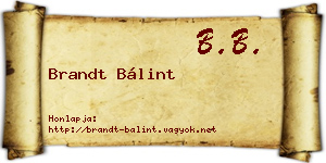 Brandt Bálint névjegykártya